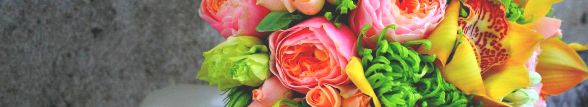 banner_con